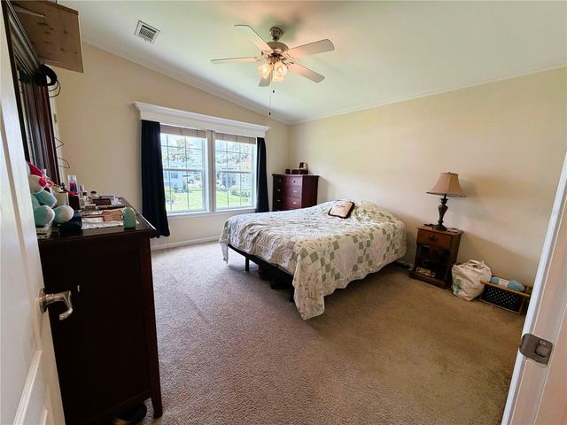 165 SAGO PALM DRIVE, Leesburg, FL 34748