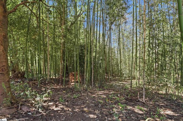 114A Shaw Street, Fountain Inn, SC 29644