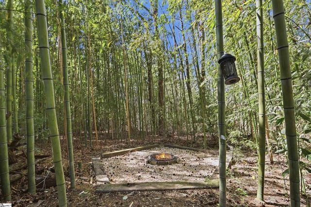 114A Shaw Street, Fountain Inn, SC 29644