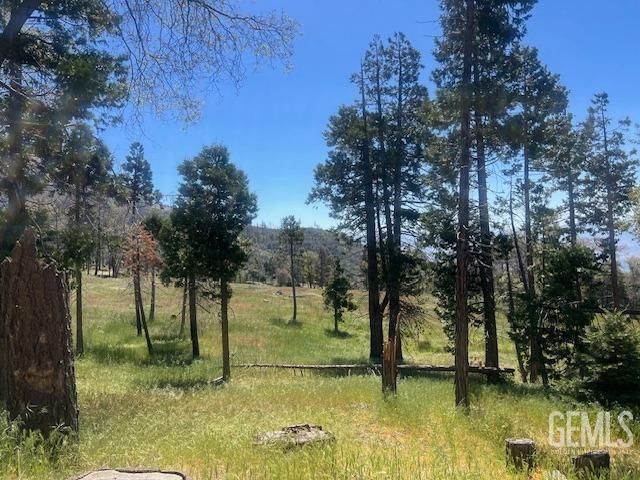 1501 Charlott Drive, Wofford Heights, CA 93285