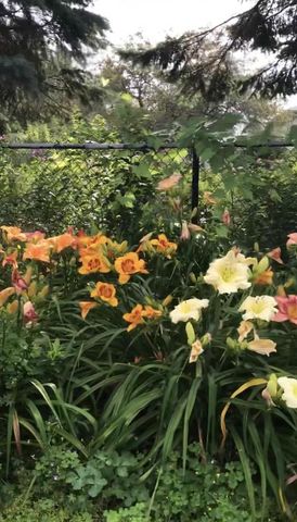 5026 Piccadilly Drive, Madison, WI 53714