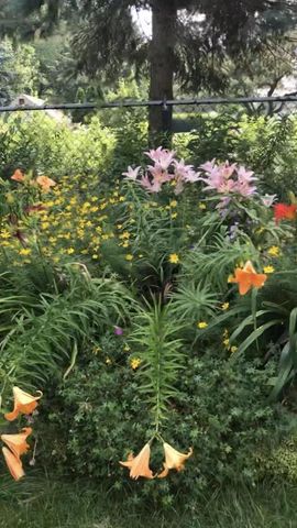 5026 Piccadilly Drive, Madison, WI 53714