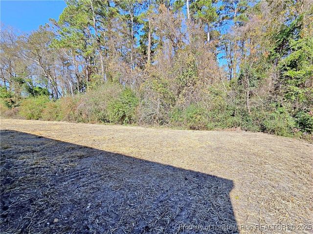 4053 Lodge Drive, Wade, NC 28395