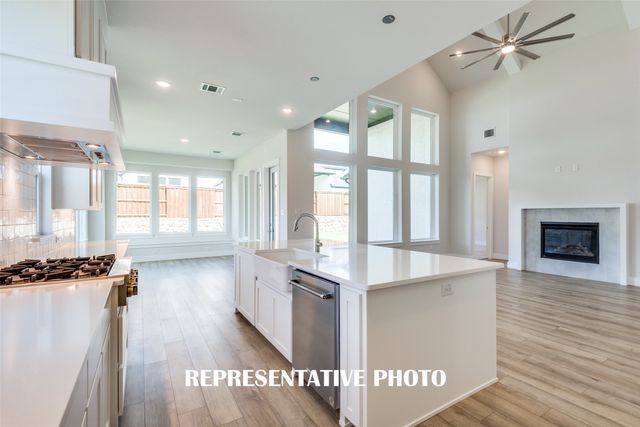 4171 Rosita Lane, Prosper, TX 75078