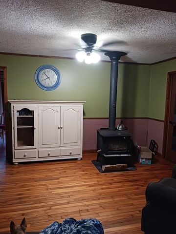 511 Gumlog, Blairsville, GA 30512