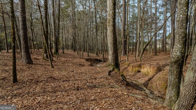 8817 Highway 100, Hogansville, GA 30230
