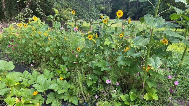 2805 Bunch Walnuts RD, Chesapeake, VA 23322