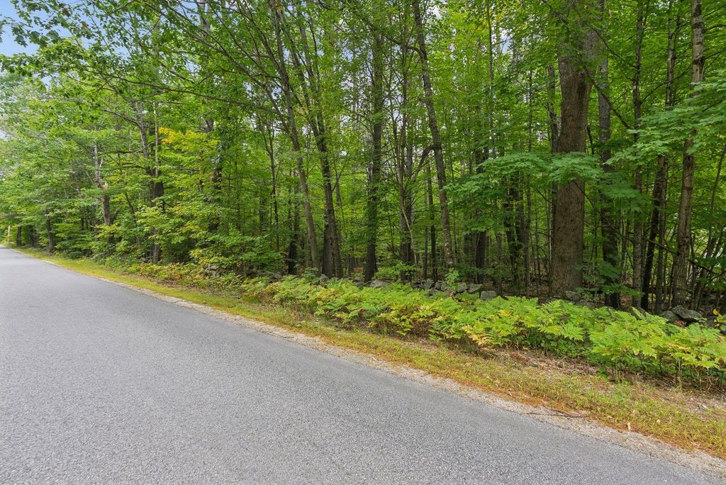 TBD Edes Falls Road, Harrison, ME 04040 — photo 2