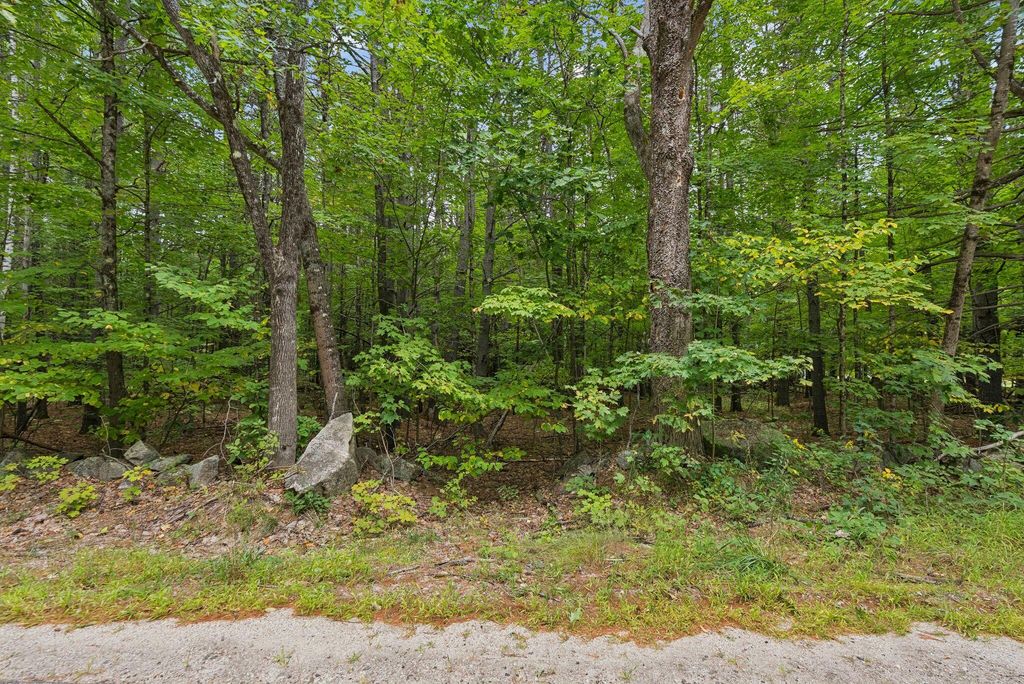 TBD Edes Falls Road, Harrison, ME 04040 — photo 3