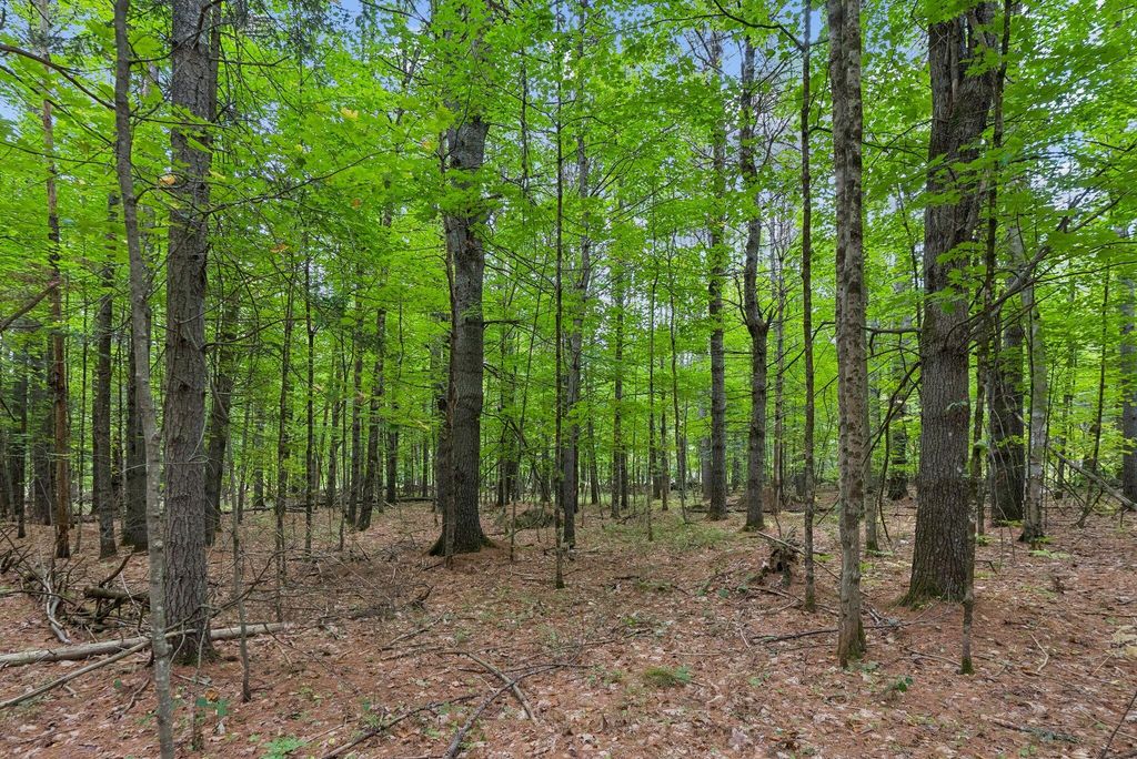 TBD Edes Falls Road, Harrison, ME 04040 — photo 4