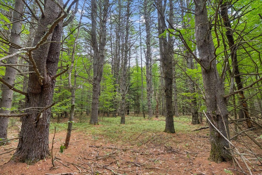TBD Edes Falls Road, Harrison, ME 04040 — photo 5
