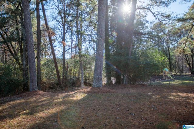 6245 CLAY PALMERDALE ROAD, Pinson, AL 35126
