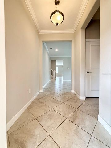 3192 CALVANO DRIVE, Land O Lakes, FL 34639