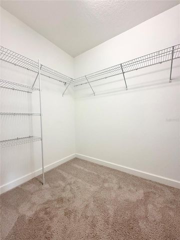 3192 CALVANO DRIVE, Land O Lakes, FL 34639