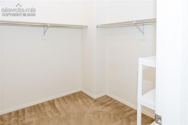 4790 Wells Branch Heights 204, Colorado Springs, CO 80923