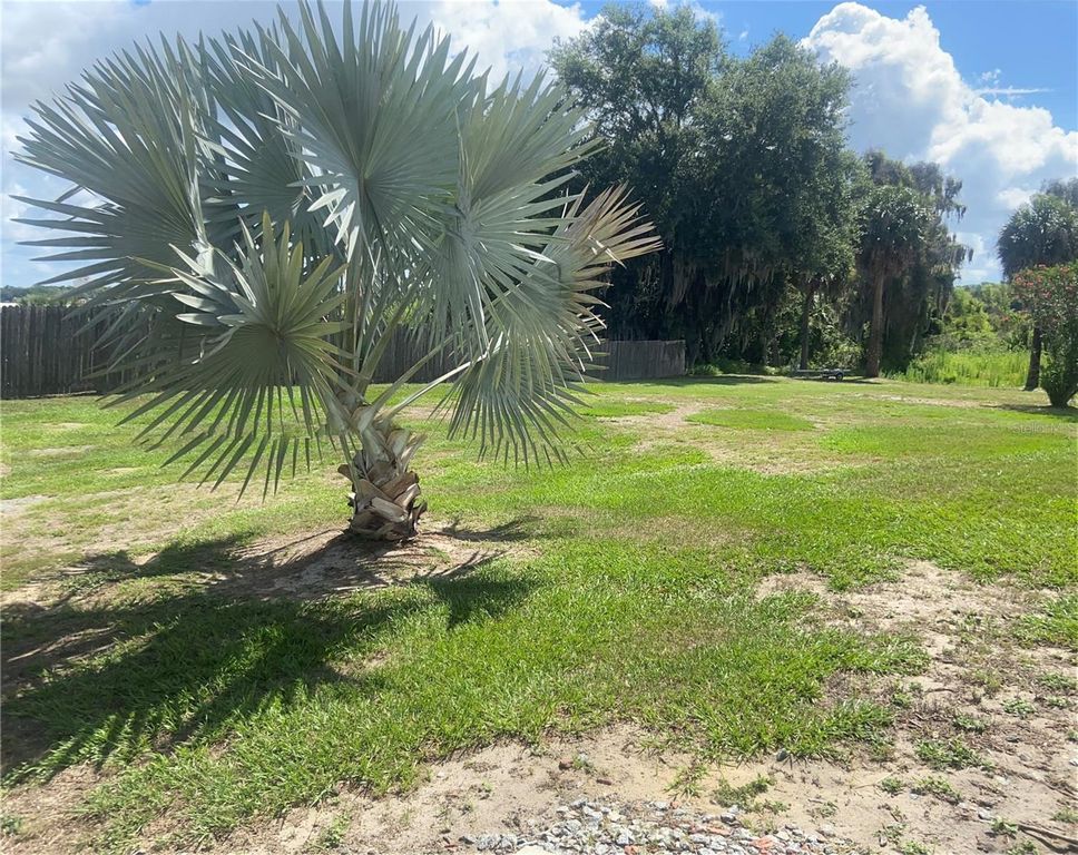 Image 41 of property listing at 91 WOODLAND DRIVE, Haines City, FL 33844
