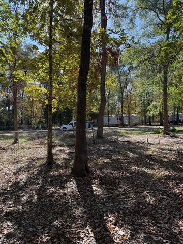 250 Beaver Run, Livingston, TX 77351