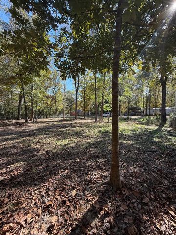 250 Beaver Run, Livingston, TX 77351