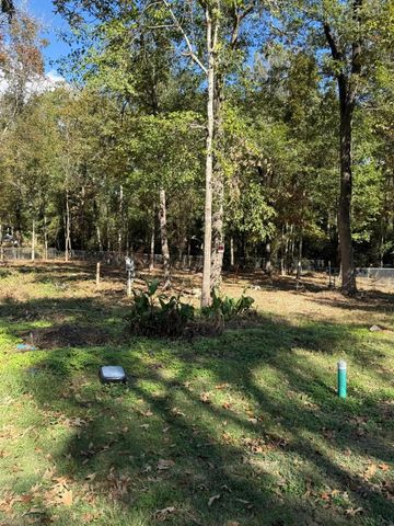 250 Beaver Run, Livingston, TX 77351