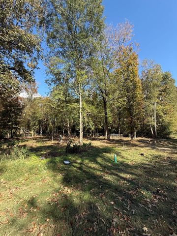 250 Beaver Run, Livingston, TX 77351