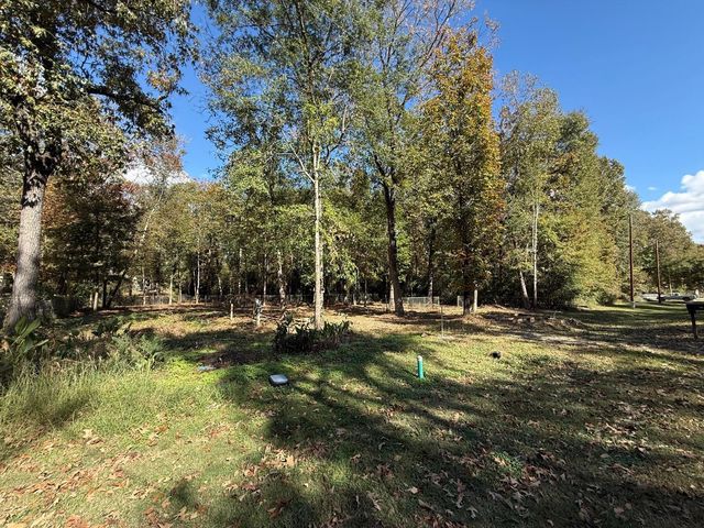 250 Beaver Run, Livingston, TX 77351