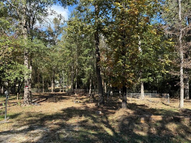 250 Beaver Run, Livingston, TX 77351