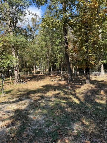 250 Beaver Run, Livingston, TX 77351