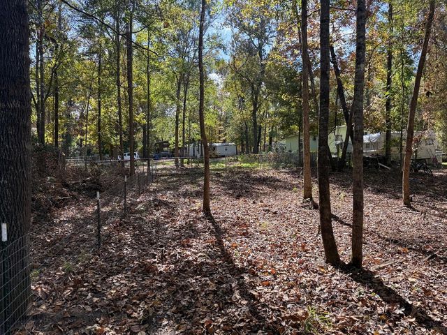 250 Beaver Run, Livingston, TX 77351