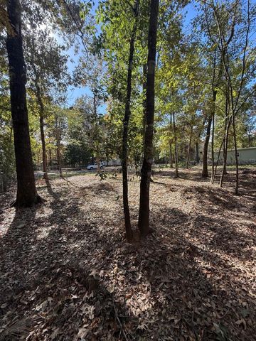 250 Beaver Run, Livingston, TX 77351