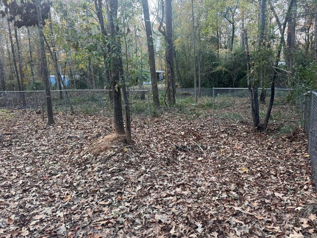 250 Beaver Run, Livingston, TX 77351