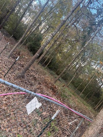 250 Beaver Run, Livingston, TX 77351