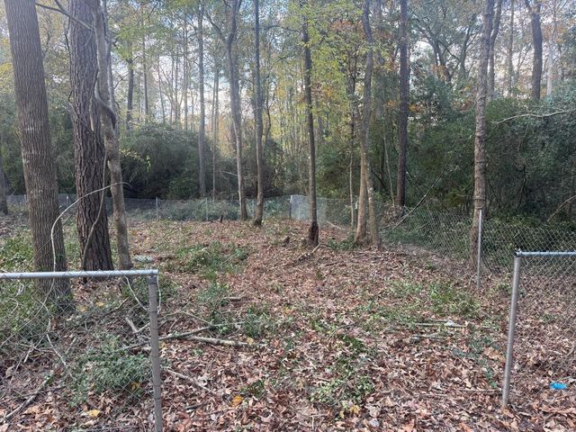 250 Beaver Run, Livingston, TX 77351