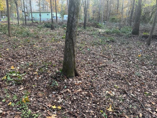 250 Beaver Run, Livingston, TX 77351