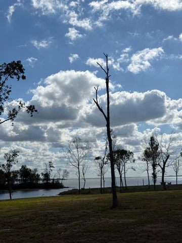 250 Beaver Run, Livingston, TX 77351