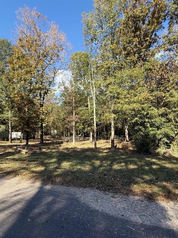 250 Beaver Run, Livingston, TX 77351