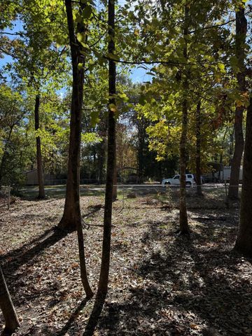 250 Beaver Run, Livingston, TX 77351