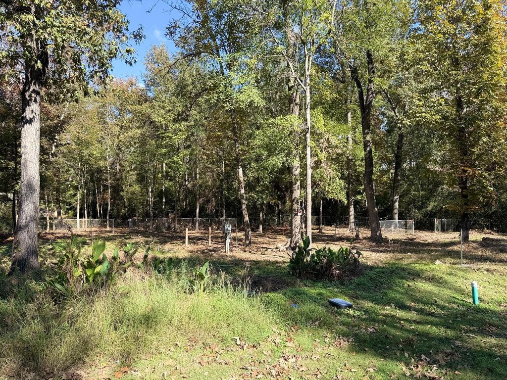 250 Beaver Run, Livingston, TX 77351