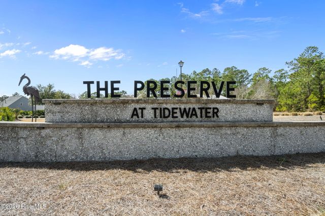 322 Royal Eagle Court, Sneads Ferry, NC 28460