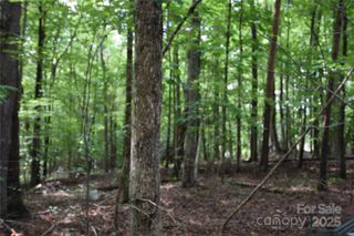 3375 Old Seine Road, Smyrna, SC 29743