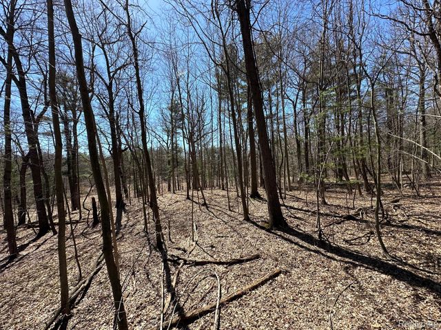 2.05 Acres VL - KNIGHTS BRIDGE Road, Addison Township, MI 48367