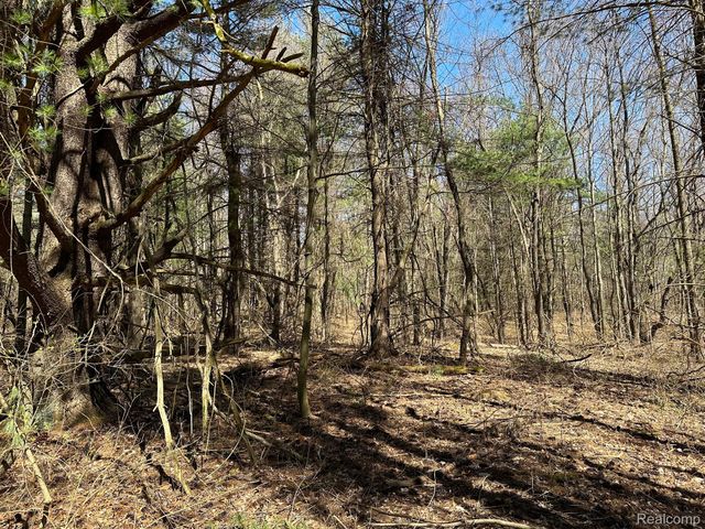 2.05 Acres VL - KNIGHTS BRIDGE Road, Addison Township, MI 48367