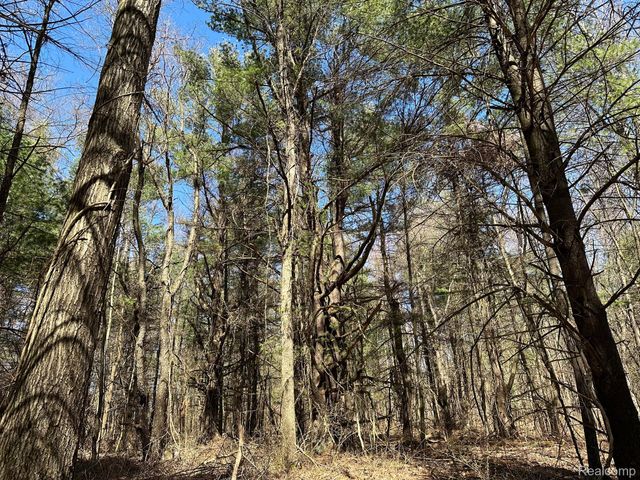 2.05 Acres VL - KNIGHTS BRIDGE Road, Addison Township, MI 48367