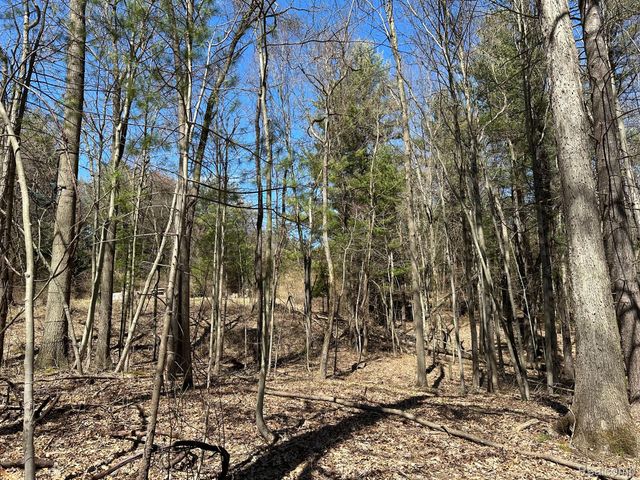 2.05 Acres VL - KNIGHTS BRIDGE Road, Addison Township, MI 48367