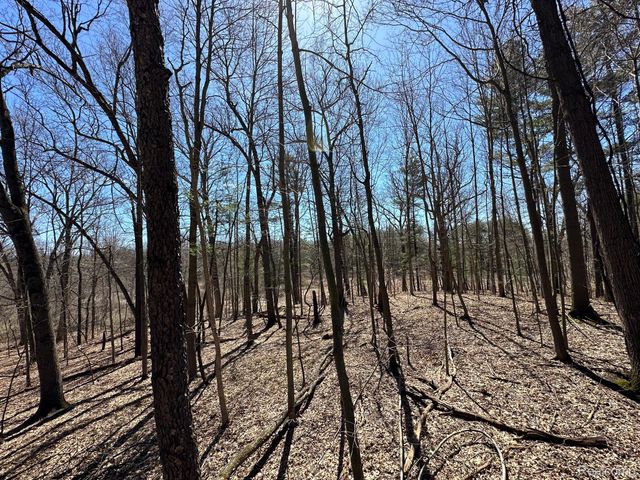 2.05 Acres VL - KNIGHTS BRIDGE Road, Addison Township, MI 48367