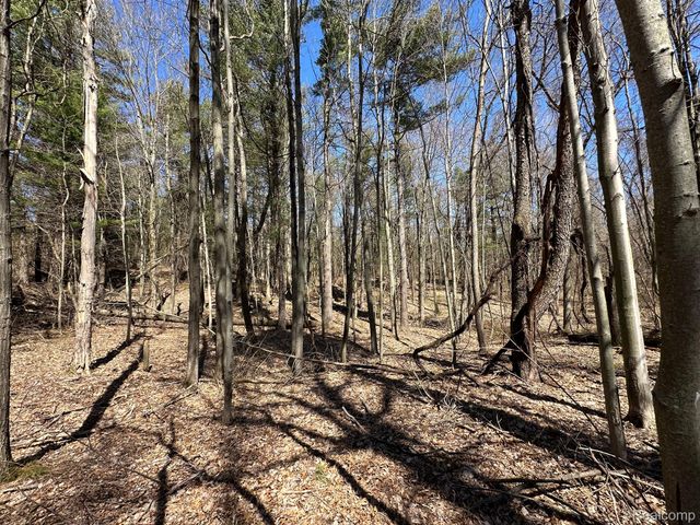 2.05 Acres VL - KNIGHTS BRIDGE Road, Addison Township, MI 48367