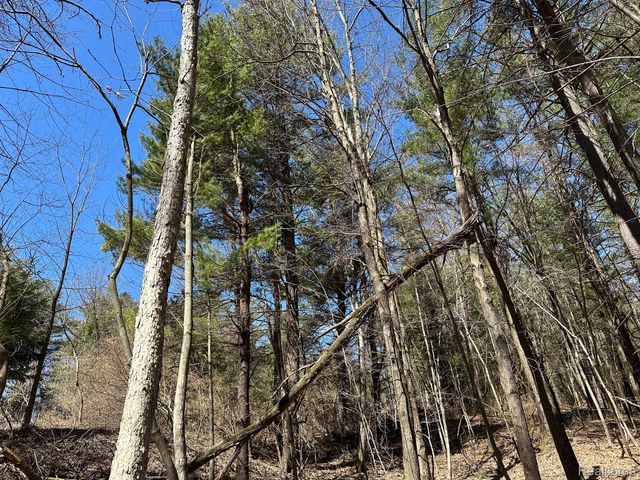 2.05 Acres VL - KNIGHTS BRIDGE Road, Addison Township, MI 48367