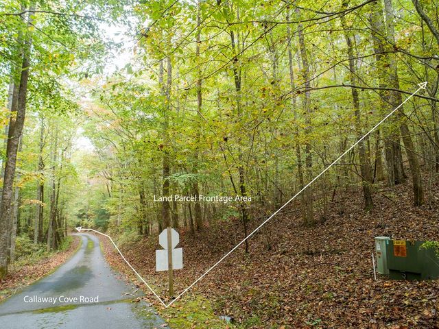 0 Calloway Cove Road, Hiawassee, GA 30546