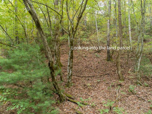 0 Calloway Cove Road, Hiawassee, GA 30546