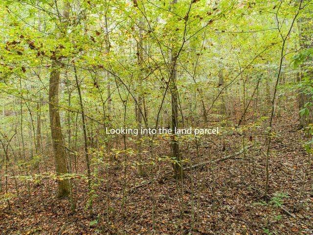 0 Calloway Cove Road, Hiawassee, GA 30546