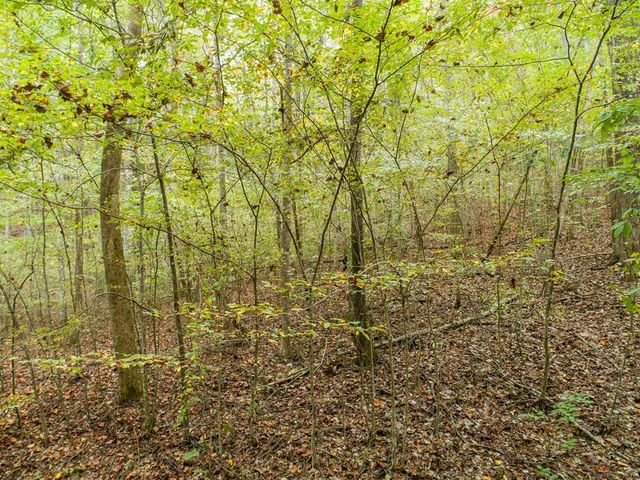 0 Calloway Cove Road, Hiawassee, GA 30546